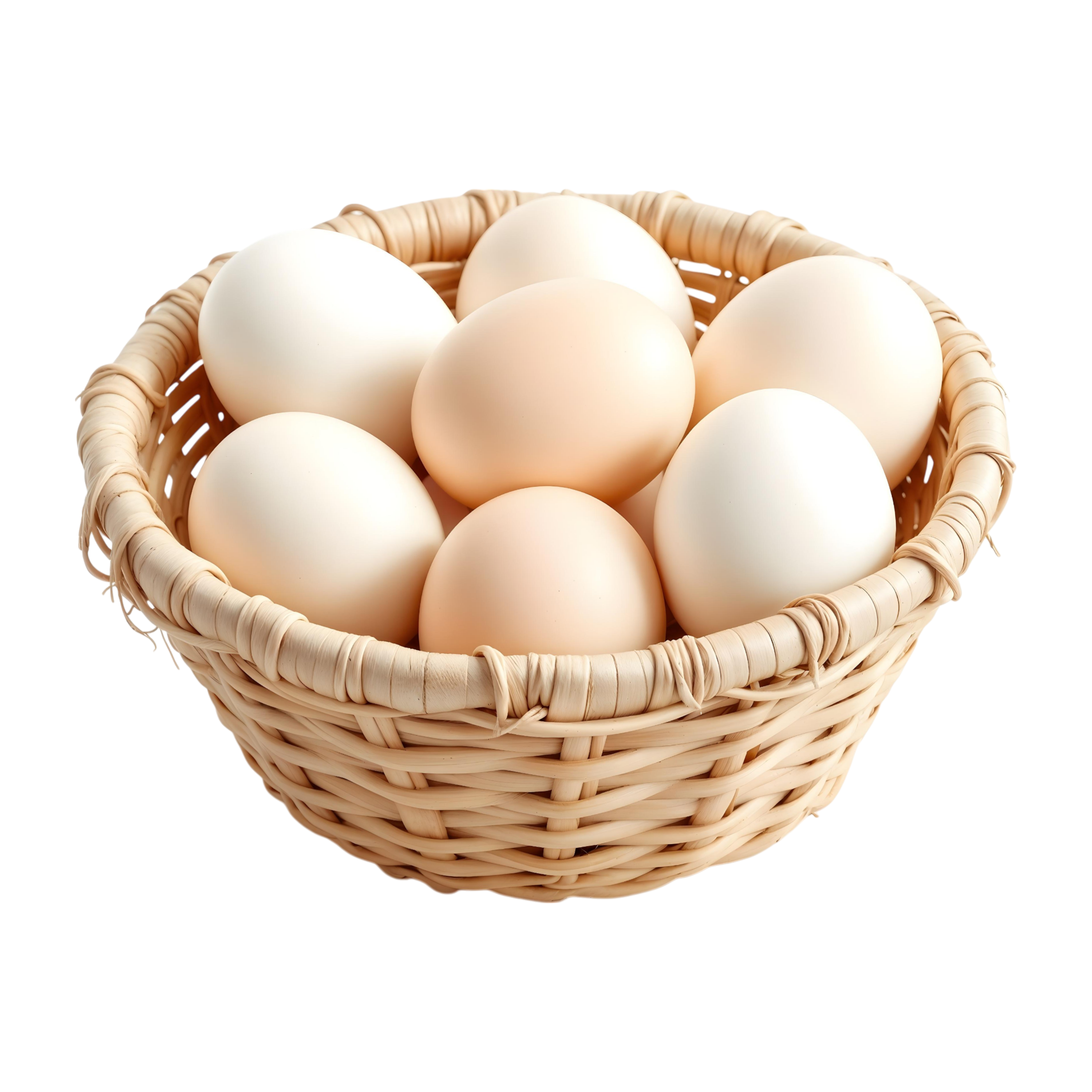 Fresh Eggs